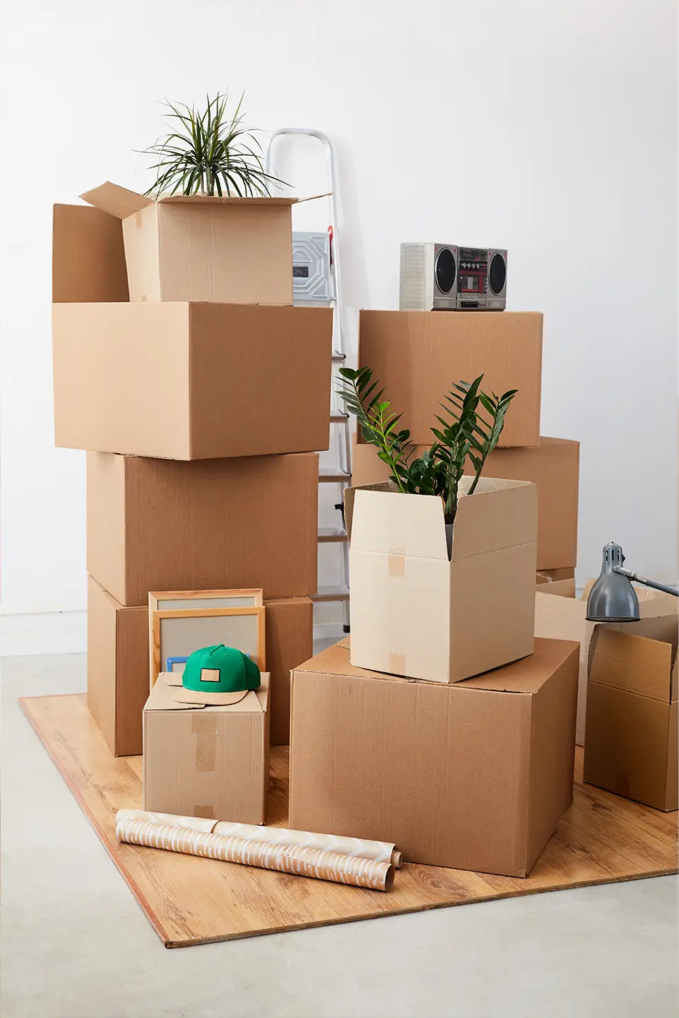 Move In - Move Out Cleaning